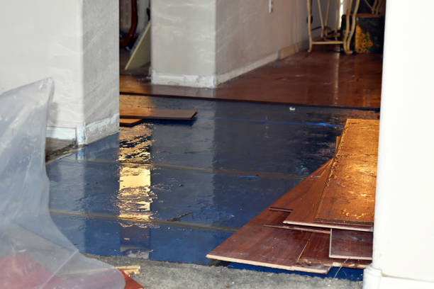 Professional Basement Water Removal technician working in Hampden, ME